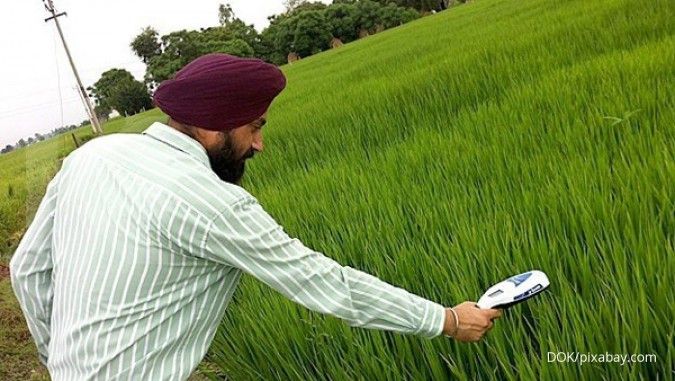 Membidik Peluang Bisnis Pertanian di India, Kekayaan Agraris